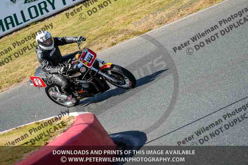 Vintage motorcycle club;eventdigitalimages;mallory park;mallory park trackday photographs;no limits trackdays;peter wileman photography;trackday digital images;trackday photos;vmcc festival 1000 bikes photographs